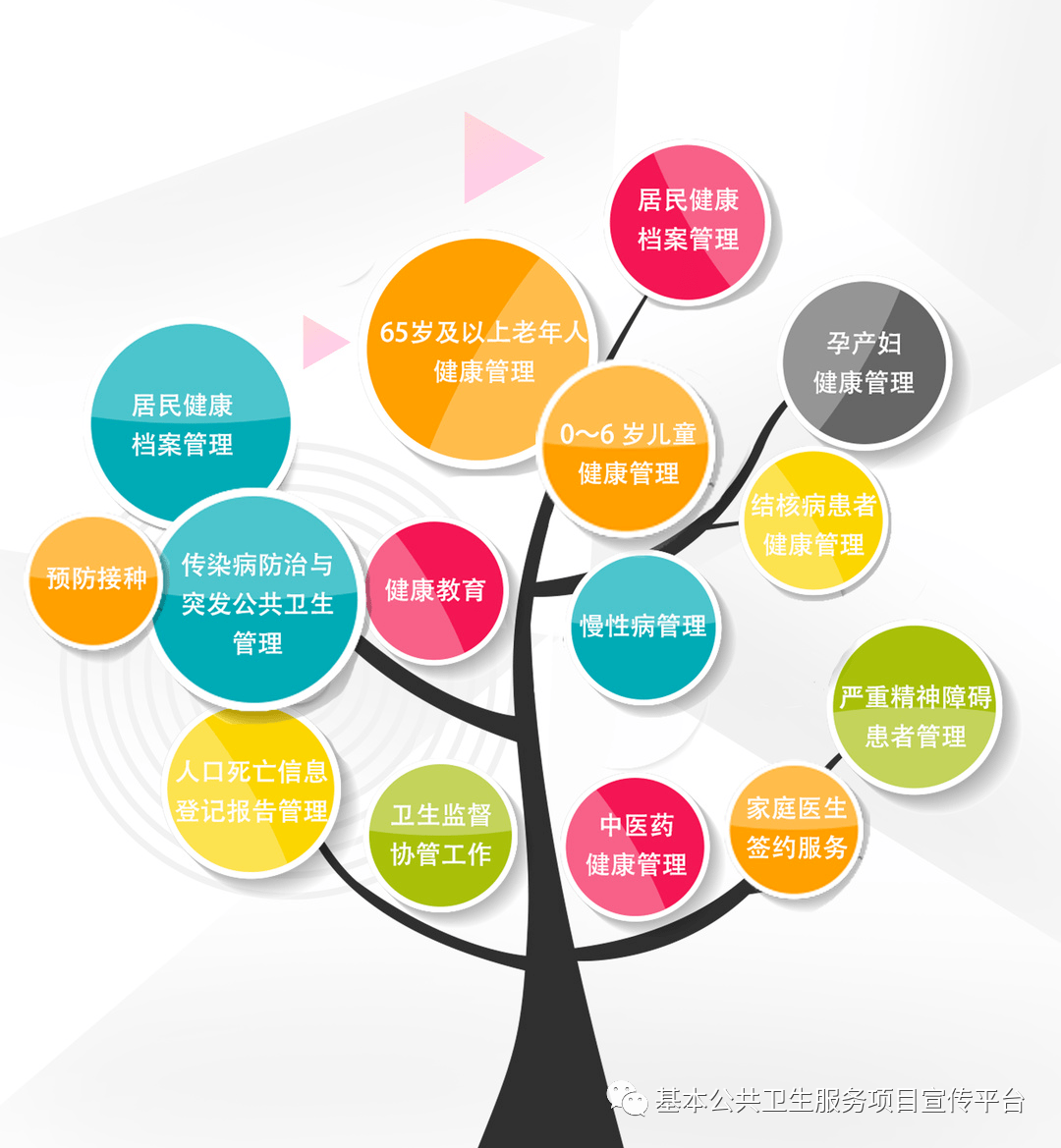 12项+19项基本公共卫生服务内容全知道！附：一图读懂M6 米乐(图1)