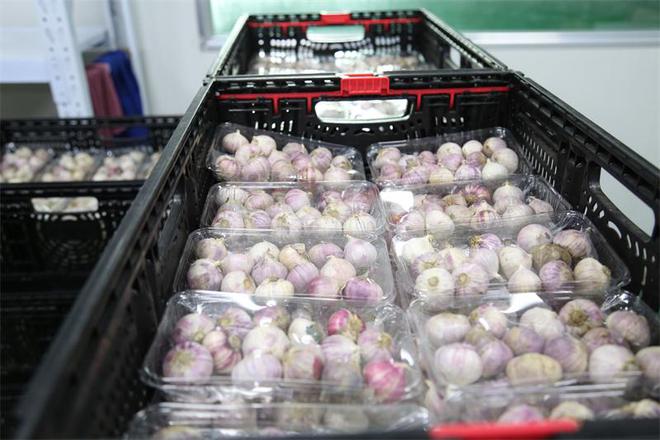 沪鑫餐饮静安食米乐M6 M6米乐材配送及时性衡量食堂承包的重要标尺(图1)