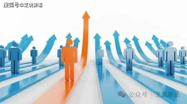 企业管理咨询顾问服米乐M6 M6米乐务(图5)