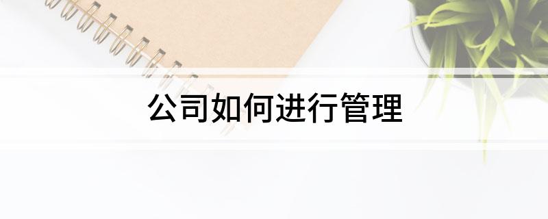 公司如何进行管理M6 米乐(图1)